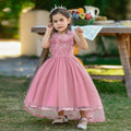 Girls pink lace princess dress with Tulle skirt